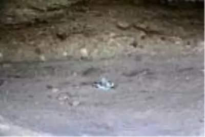 60 bin yıllık mağaranın duvarları yazı tahtasına döndü 60 bin yıllık mağaranın duvarları yazı tahtasına döndü