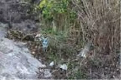 60 bin yıllık mağaranın duvarları yazı tahtasına döndü 60 bin yıllık mağaranın duvarları yazı tahtasına döndü