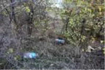 60 bin yıllık mağaranın duvarları yazı tahtasına döndü 60 bin yıllık mağaranın duvarları yazı tahtasına döndü