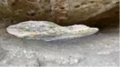 60 bin yıllık mağaranın duvarları yazı tahtasına döndü 60 bin yıllık mağaranın duvarları yazı tahtasına döndü