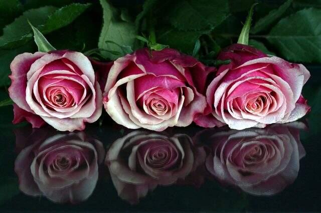 Acı sözler 2020: En acı sözler nelerdir? Acı aşk sözleri, acı mesajlar, duygusal acı sözler, acı ile ilgili sözler