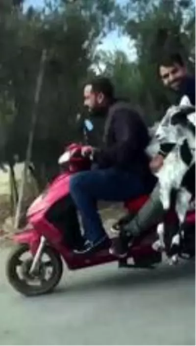 Antalya'da motosiklet sürücülerin pes dedirten yolculukları Antalya'da motosiklet sürücülerin pes dedirten yolculukları