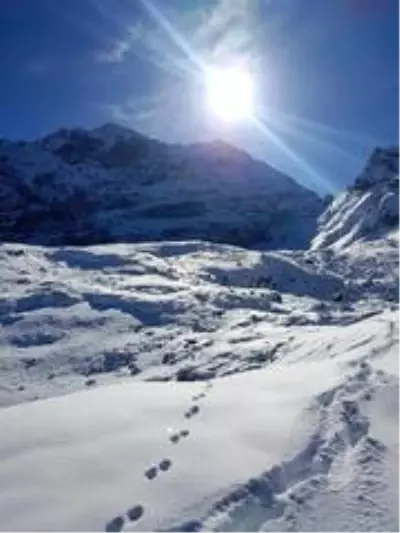 Artvin'in Macahel Karçal dağları eteklerinde bulunan göller ve akarsular buz tuttu Artvin'in Macahel Karçal dağları eteklerinde bulunan göller ve akarsular buz tuttu