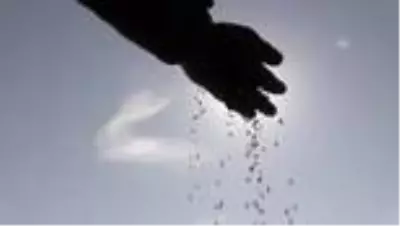 Avcılar doğadaki yaban hayvanlarına yem bıraktı Avcılar doğadaki yaban hayvanlarına yem bıraktı