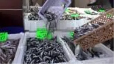Batı Karadeniz'de kilosu 7 liraya düşen hamsiye büyük ilgi Batı Karadeniz'de kilosu 7 liraya düşen hamsiye büyük ilgi