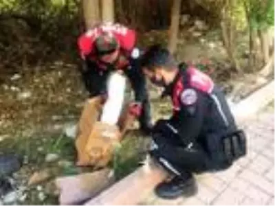 Son dakika: Bebek cesedi sanılan çarşafın içindeki kedi ölüsüymüş Son dakika: Bebek cesedi sanılan çarşafın içindeki kedi ölüsüymüş