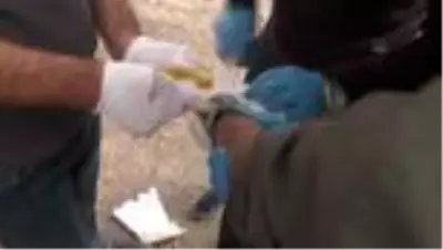 Son dakika gündem: Bir şüphelinin kolunda alçı görünümünde kamufle edilmiş patlayıcı ele geçirildi Son dakika gündem: Bir şüphelinin kolunda alçı görünümünde kamufle edilmiş patlayıcı ele geçirildi