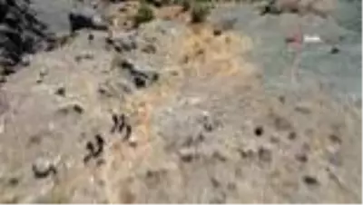 Bu adımlar saklı kalmış güzelliklere atılıyor Bu adımlar saklı kalmış güzelliklere atılıyor