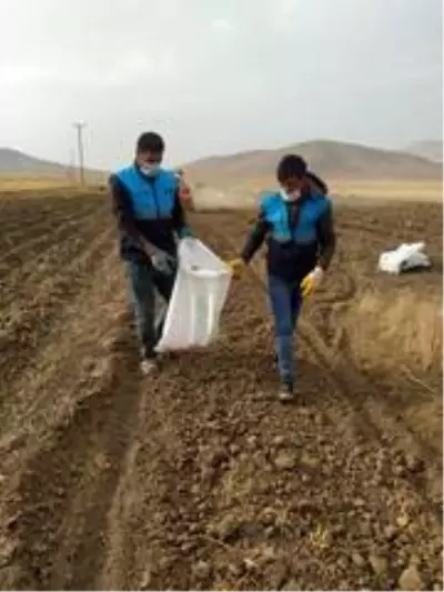 Çaldıran Belediyesinin ektiği patatesin hasadına başlandı Çaldıran Belediyesinin ektiği patatesin hasadına başlandı