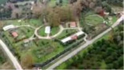 Hallerinden memnun olan ayılar kış uykusuna yatmıyor Hallerinden memnun olan ayılar kış uykusuna yatmıyor