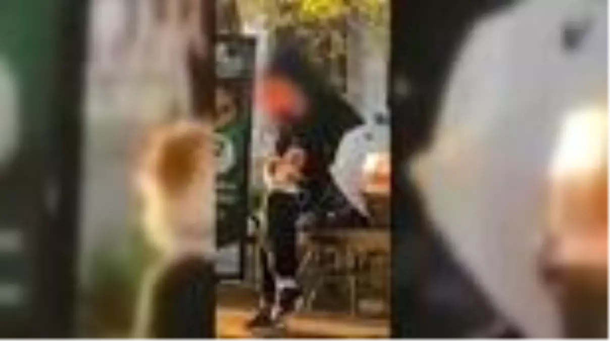 'Hamster' cinsi evcil hayvana eziyet eden kadına para cezası