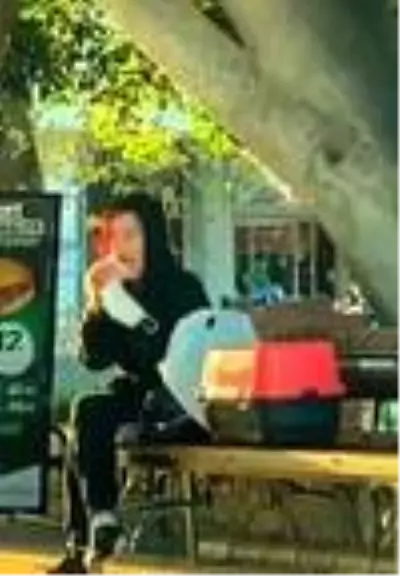 Hamstere tokat ve ısırık cezasız kalmadı