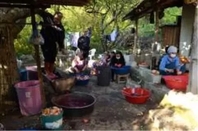 - Hatay'da nar ekşisi sezonu açıldı - Hatay'da nar ekşisi sezonu açıldı