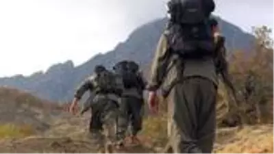 PKK'nın sonu geliyor! 1'i Gri kategoride aranan 5 terörist güvenlik güçlerine teslim oldu PKK'nın sonu geliyor! 1'i Gri kategoride aranan 5 terörist güvenlik güçlerine teslim oldu