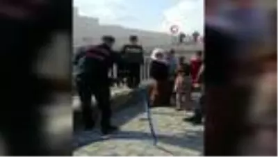Son dakika haberi... Kafası demir korkuluklara sıkıştı Son dakika haberi... Kafası demir korkuluklara sıkıştı