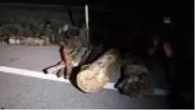 Kamyondan düşen odun parçaları ulaşımı aksattı Kamyondan düşen odun parçaları ulaşımı aksattı