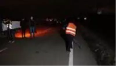Kamyondan düşen odun parçaları ulaşımı aksattı Kamyondan düşen odun parçaları ulaşımı aksattı