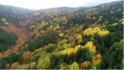 Kaz Dağları sonbaharda rengarenk Kaz Dağları sonbaharda rengarenk