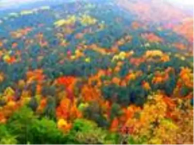 Kaz Dağları sonbaharda rengarenk Kaz Dağları sonbaharda rengarenk
