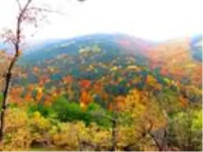 Kaz Dağları sonbaharda rengarenk Kaz Dağları sonbaharda rengarenk