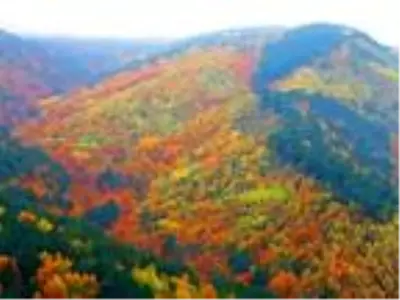 Kaz Dağları sonbaharda rengarenk Kaz Dağları sonbaharda rengarenk