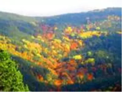 Kaz Dağları sonbaharda rengarenk Kaz Dağları sonbaharda rengarenk