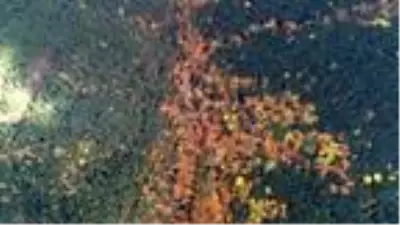 Kaz Dağları sonbaharda rengarenk Kaz Dağları sonbaharda rengarenk