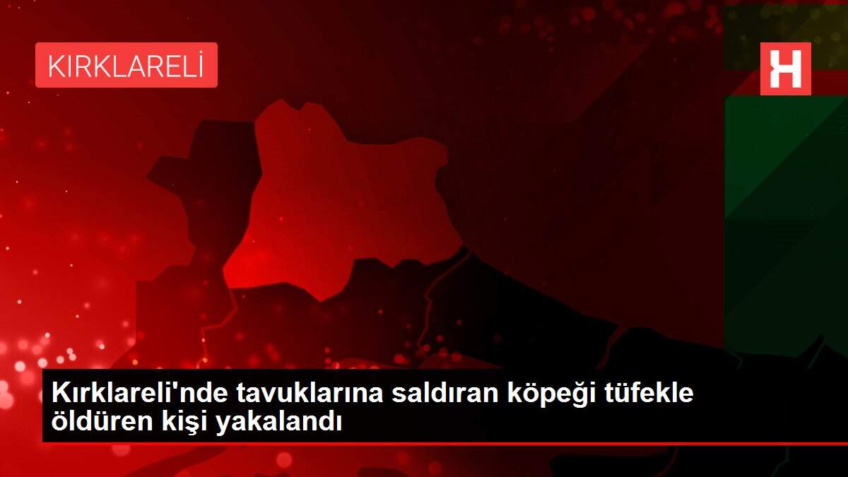 Kırklareli'nde tavuklarına saldıran köpeği tüfekle öldüren kişi yakalandı