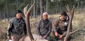 Kızıl geyik avlayan eski Belediye Başkanı Kula: Yasal olmayan hiçbir şey yapmadım