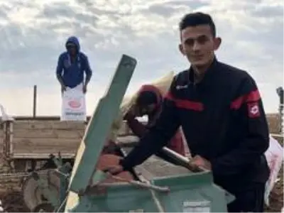 Mardin Ovasında buğday ekimi başladı Mardin Ovasında buğday ekimi başladı