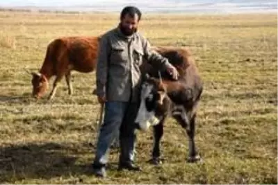 Sağır ve dilsiz kardeşler 20 yıldır çobanlık yapıyor