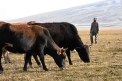 Sağır ve dilsiz kardeşler 20 yıldır çobanlık yapıyor