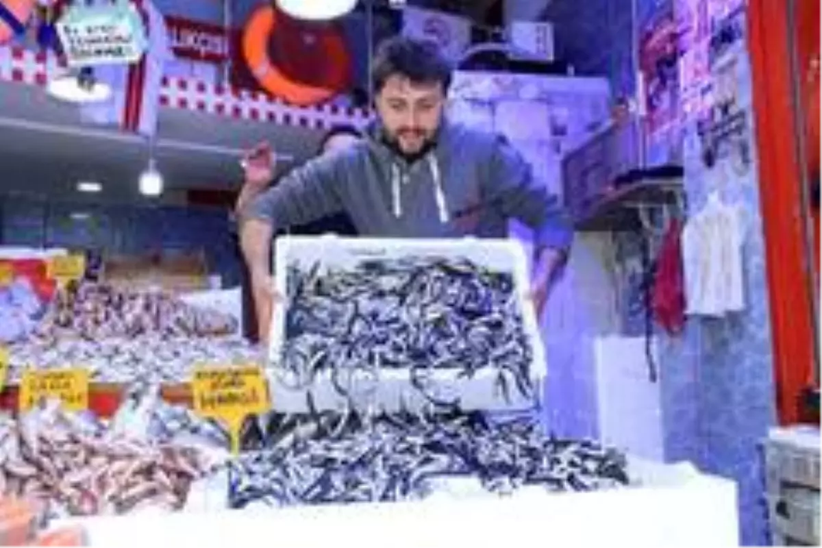 Samsun'da hamsi 10 TL'ye düştü, tezgahlar şenlendi