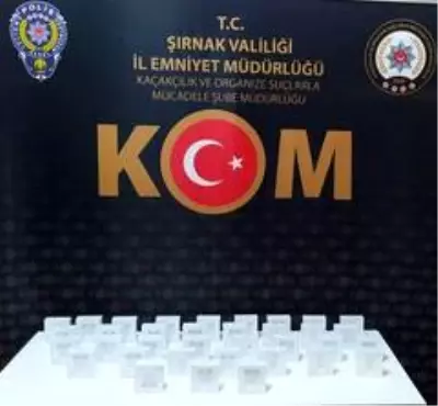 Şırnak'ta kaçakçılık operasyonu: 47 gözaltı Şırnak'ta kaçakçılık operasyonu: 47 gözaltı