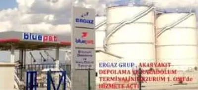 Türkiye Ekonomisine Ergaz enerjisi Türkiye Ekonomisine Ergaz enerjisi