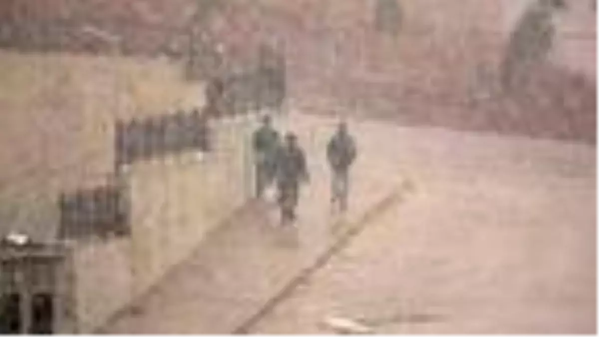 Yüksekova'da kar yağışı