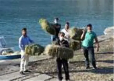 Aç ve susuz kalan dağ keçilerine ikinci yiyecek seferi Aç ve susuz kalan dağ keçilerine ikinci yiyecek seferi