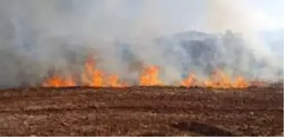 Antalya'da makilik alanda yangın Antalya'da makilik alanda yangın
