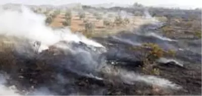 Antalya'da makilik alanda yangın Antalya'da makilik alanda yangın