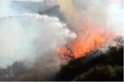 Antalya'da makilik alanda yangın Antalya'da makilik alanda yangın