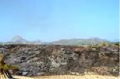 Antalya'da makilik alanda yangın Antalya'da makilik alanda yangın