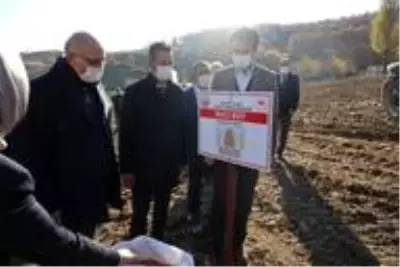 Bilecik'te 16 dekar alana buğday çeşit demonstrasyonu kuruldu Bilecik'te 16 dekar alana buğday çeşit demonstrasyonu kuruldu