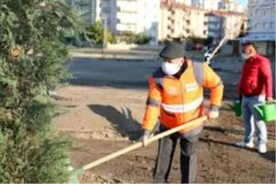 Kocasinan Belediyesinde ağaçlandırma çalışmaları Kocasinan Belediyesinde ağaçlandırma çalışmaları