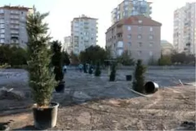 Kocasinan Belediyesinde ağaçlandırma çalışmaları Kocasinan Belediyesinde ağaçlandırma çalışmaları
