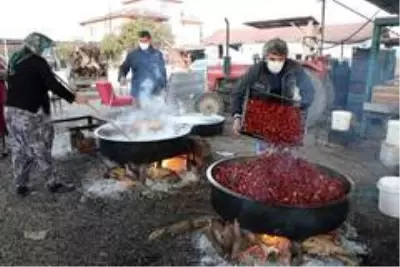 Düşten lansmana yolculuk: Rüyasında gördü, 13 bin fidan dikti, 600 ton üretti, şimdi de pekmezini yapıyor