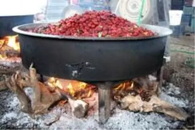 Düşten lansmana yolculuk: Rüyasında gördü, 13 bin fidan dikti, 600 ton üretti, şimdi de pekmezini yapıyor