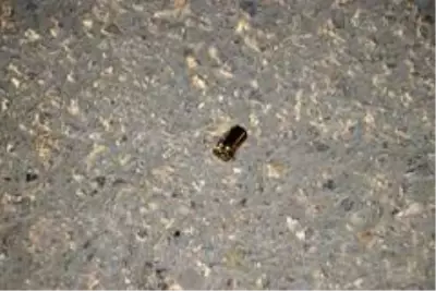 Evinin önünde pusu kurup, kurşun yağmuruna tuttular Evinin önünde pusu kurup, kurşun yağmuruna tuttular