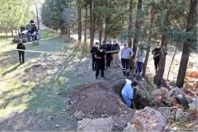 Ormanlık alanda polisi alarma geçiren mezar, hasta köpeğin çıktı Ormanlık alanda polisi alarma geçiren mezar, hasta köpeğin çıktı
