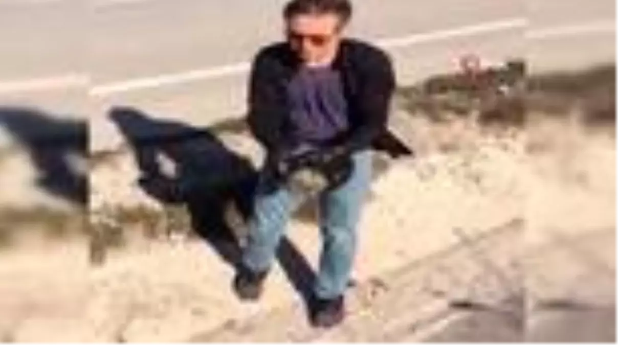 Karayoluna çıkan kaplumbağanın imdadına duyarlı vatandaş yetişti