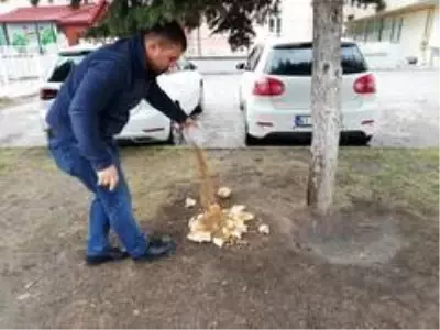 Kars'ta belediye sokak hayvanlarını unutmadı Kars'ta belediye sokak hayvanlarını unutmadı